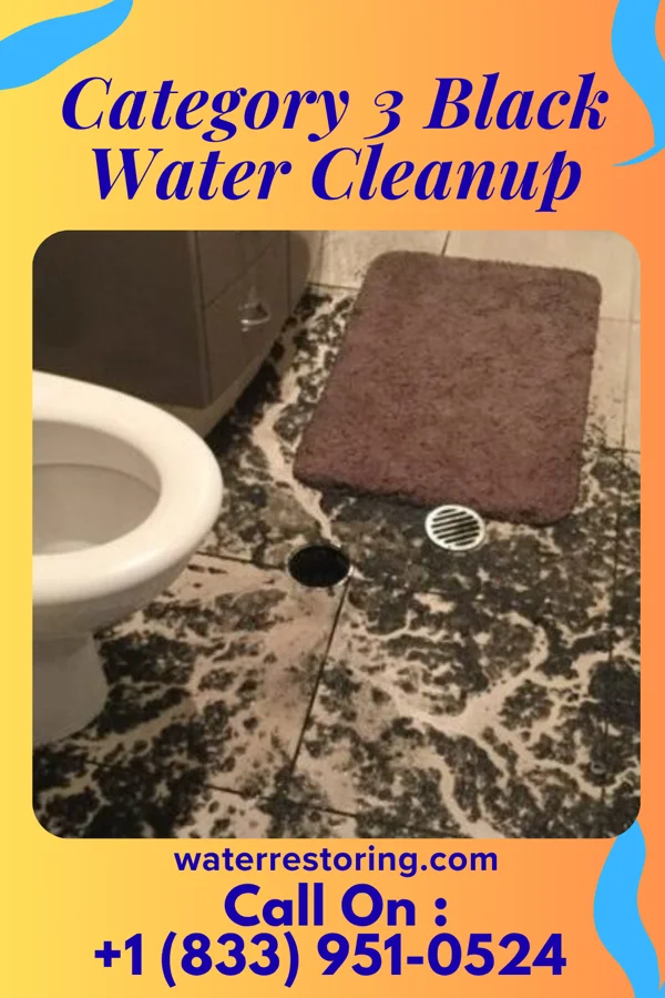 Category 3 Black Water Cleanup in Sunrise Beach Village, TX