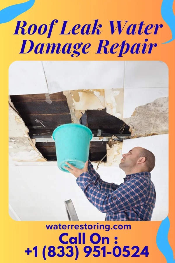 Roof Leak Water Damage Repair in Sunrise Beach Village, TX