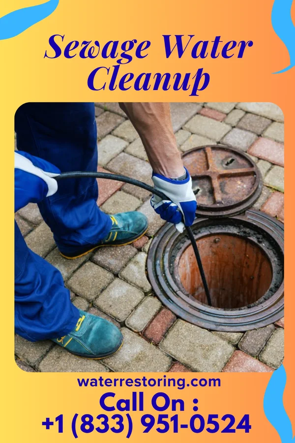 Sewage Water Cleanup in Sunrise Beach Village, TX